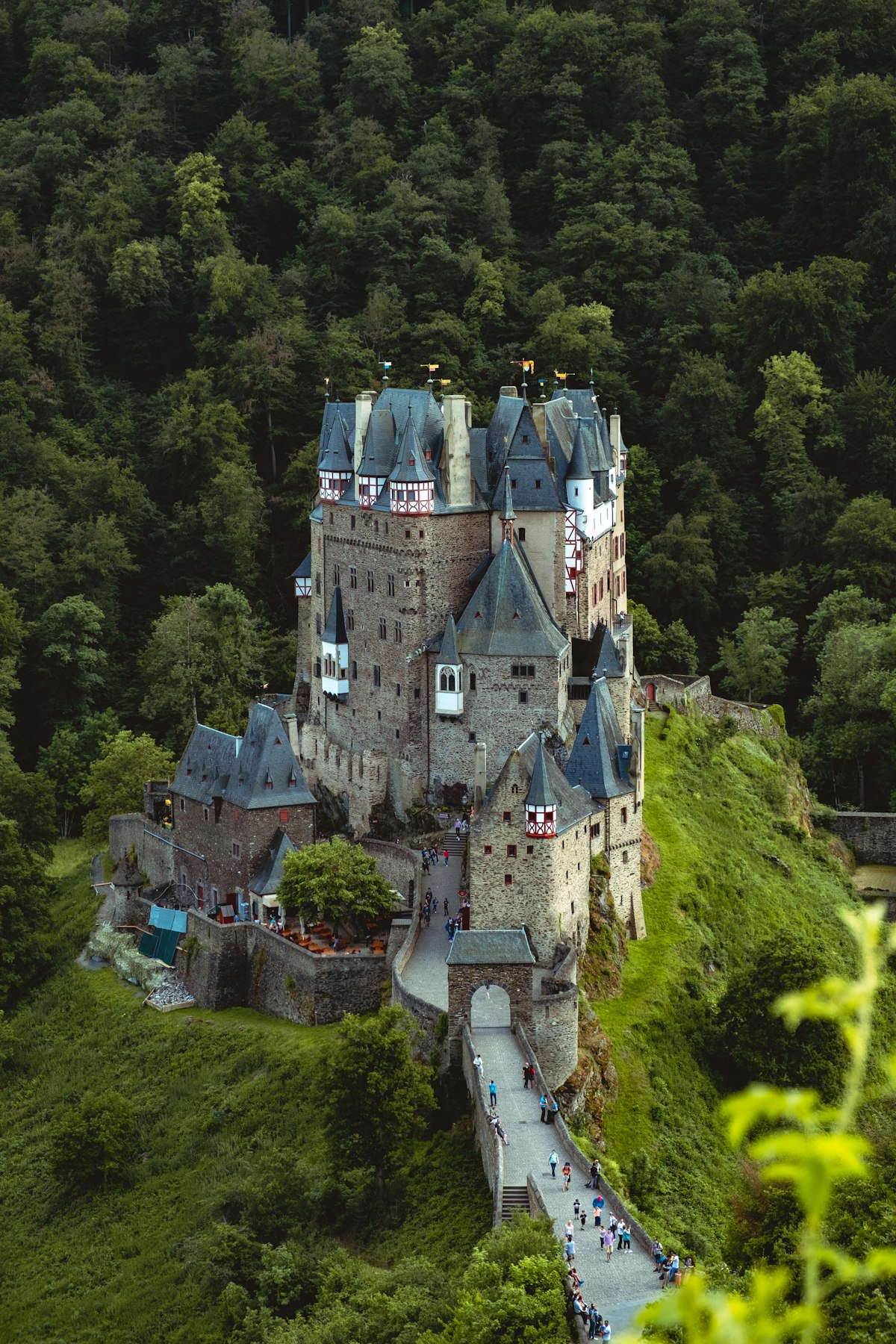 Château au milieu de la forêt, vue aérienne