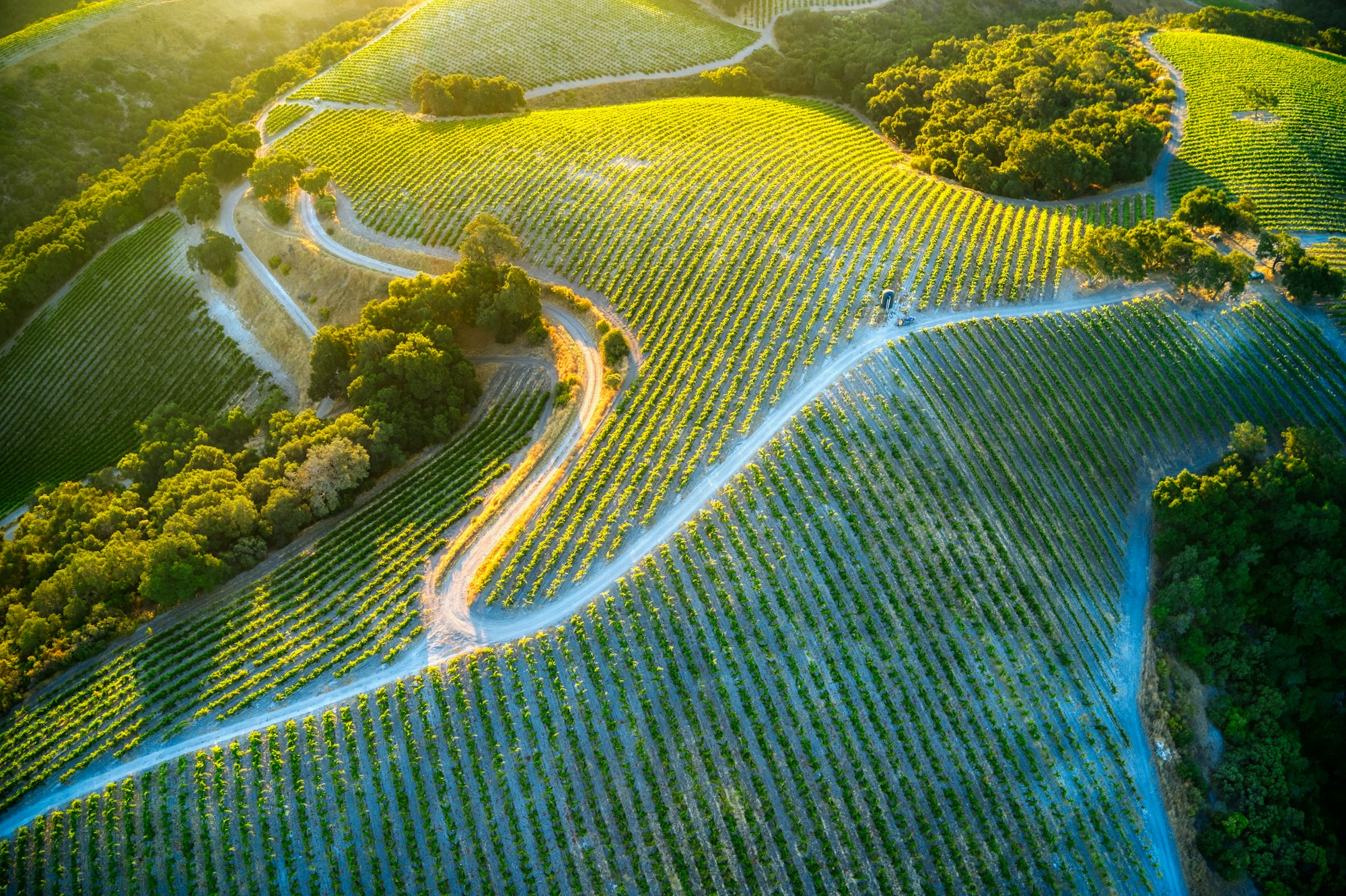 Route sinueuse à travers les vignes vue du ciel